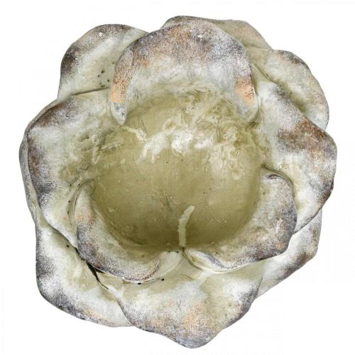 Floristik24 Fleur de rose à planter, fleurs funéraires, pierre rose, décoration béton gris, abricot, violet Ø11cm L22cm H9cm