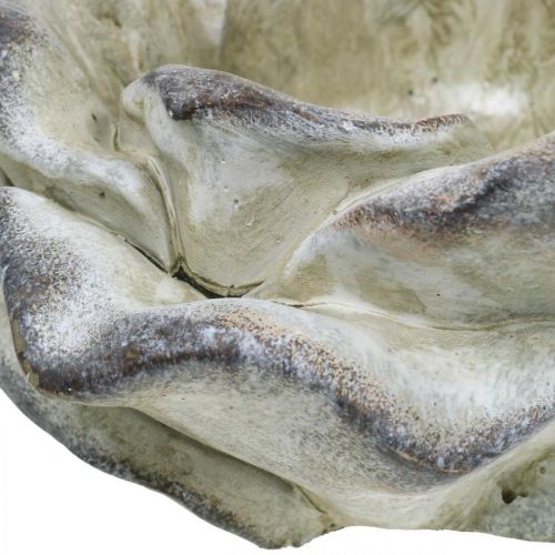 Floristik24 Fleur de rose à planter, fleurs funéraires, pierre rose, décoration béton gris, abricot, violet Ø11cm L22cm H9cm