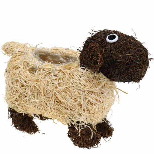 Article Cache-pot vigne de mouton marron blanchi 35×14cm H26cm