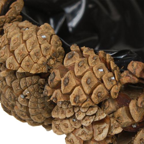Floristik24 Pot de fleurs en cônes véritables, naturel, Ø28cm, H9cm