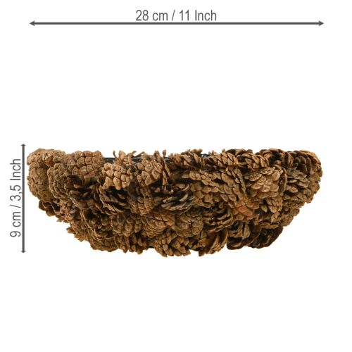 Floristik24 Pot de fleurs en cônes véritables, naturel, Ø28cm, H9cm