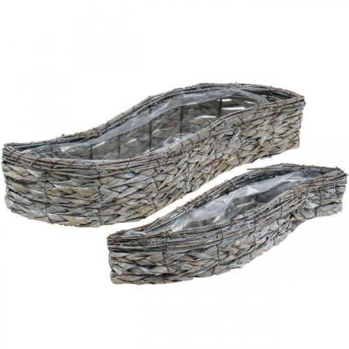 Article Bol à plantes, bac à plantes gris 48,5/31,5cm lot de 2