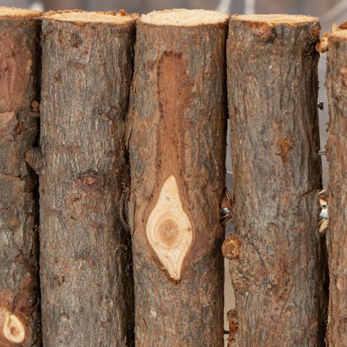 Article Jardinière carrée branches de bouleau naturel 14,5/20cm lot de 2