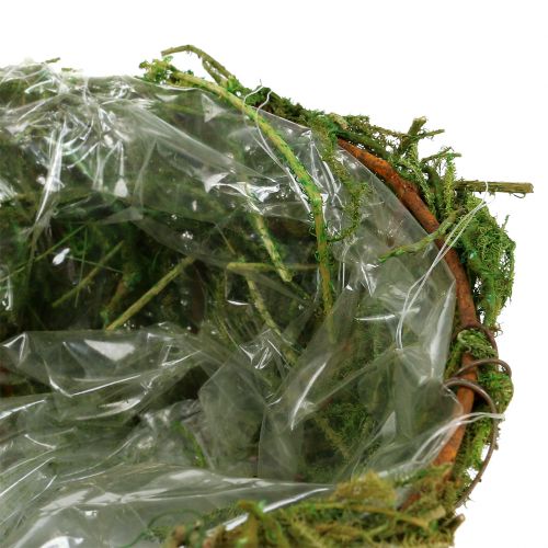 Floristik24 Cache-pot avec mousse Ø16cm H9cm - 10cm vert 3pcs