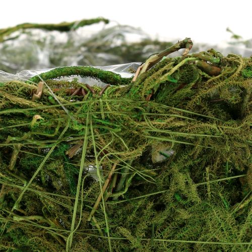 Floristik24 Cache-pot avec mousse Ø16cm H9cm - 10cm vert 3pcs