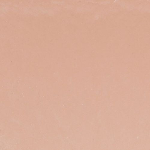 Article Bol à plantes ovale décoratif en plastique rose marron 20×10×11cm 3pcs