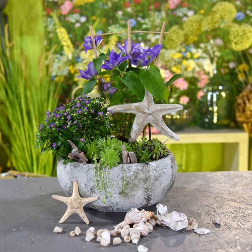 Floristik24 Cache-pot à fleurs aspect antique patiné Ø32cm H14cm