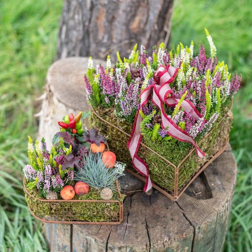 Floristik24 Bol à plantes panier en maille coeur métal rouille 20/24,5/30 lot de 3