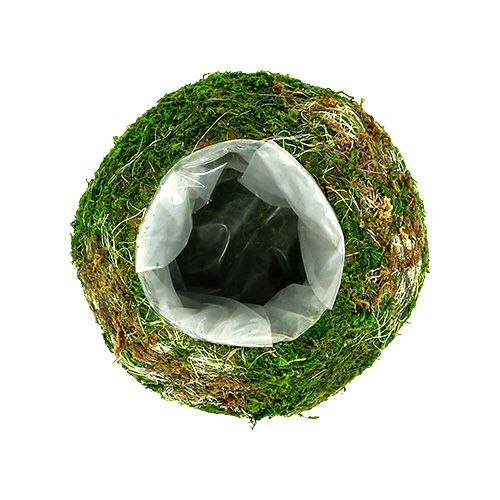 Floristik24 Bol à plantes bol en mousse Ø18cm 2pcs