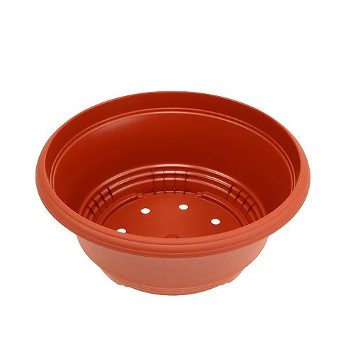 Article Bol à planter en plastique Ø20cm terre cuite 1 pièce