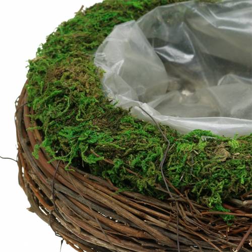 Floristik24 Jardinière en rotin, mousse Ø26cm H9cm