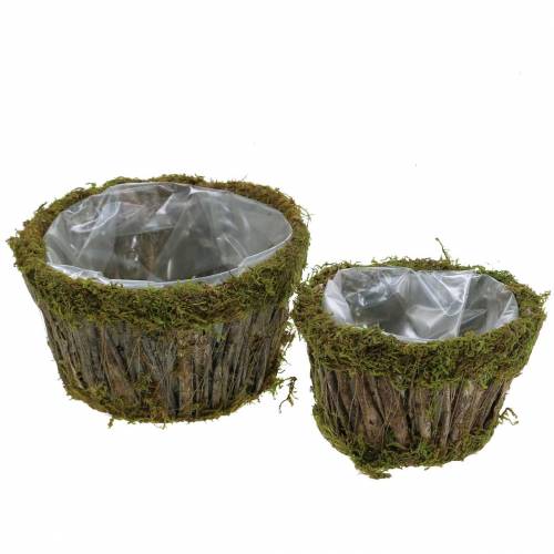 Floristik24 Bol pour plante mousse/écorce rond Ø15/20cm lot de 2