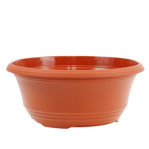 Floristik24 Bol à plantes en plastique Ø23cm H10cm, 1pièce