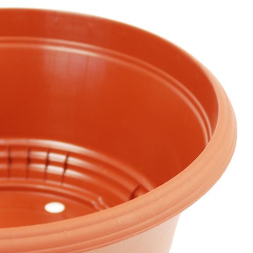 Article Bol à plantes en plastique Ø23cm H10cm 1 pièce