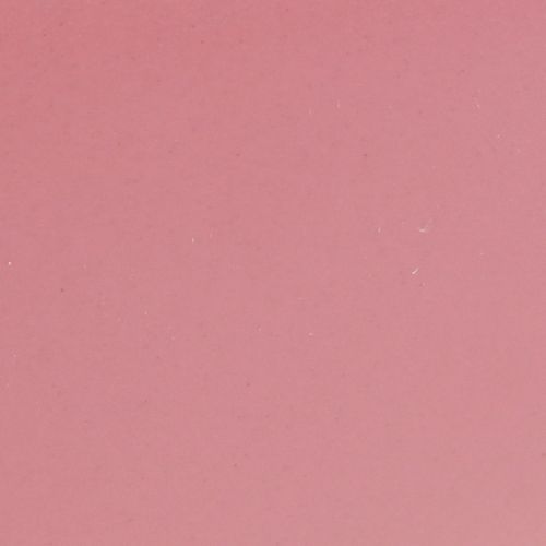 Article Bol à fleurs en plastique pour bateau à plantes rose 28×9×9cm 3pcs