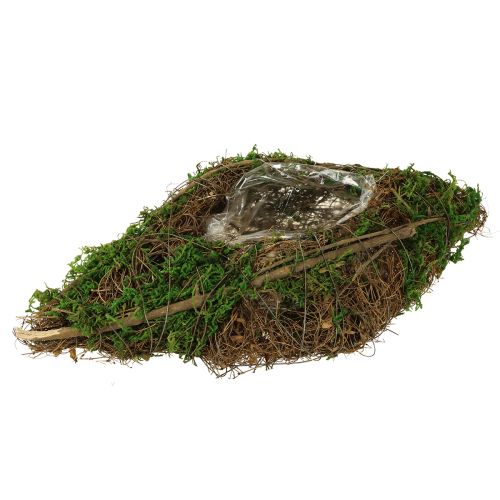 Bol de plantation de vignes et de mousse pour bateau 31 × 17 × 6 cm