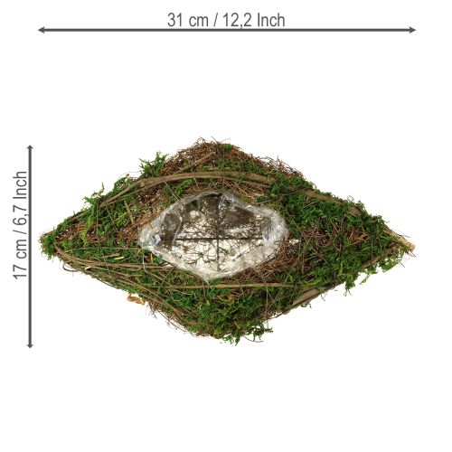Article Bol de plantation de vignes et de mousse pour bateau 31 × 17 × 6 cm