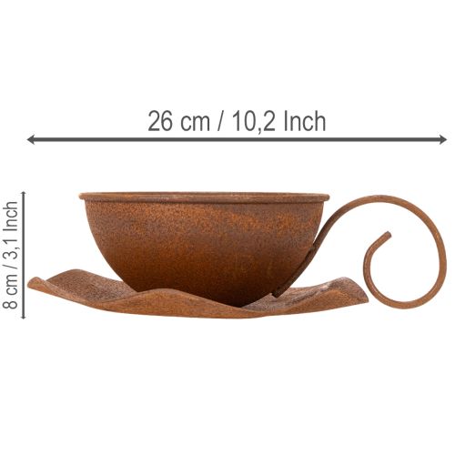 Pot de fleurs avec soucoupe, finition rouille, Ø 19,5 cm, H 8 cm | Floristik24.fr