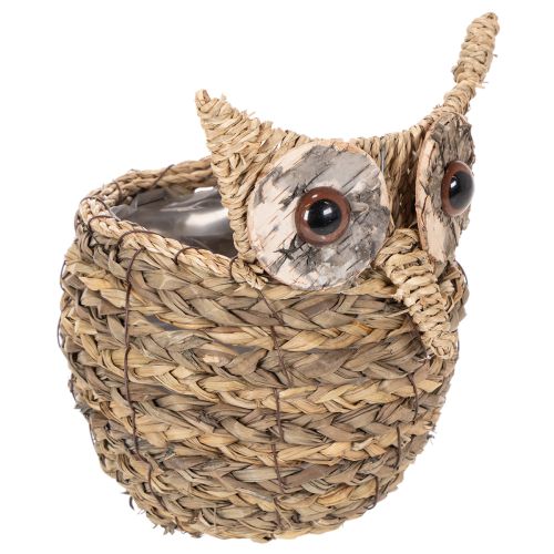 Panier décoratif en forme de chouette en jacinthe d'eau tressée 18 cm acheter | Floristik24.fr