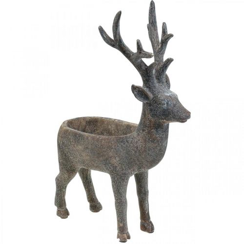 Floristik24 Cache-pot cerf décoratif renne pot de fleurs H39.5cm