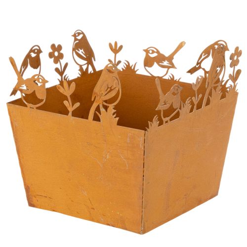 Pot de fleurs en métal avec oiseaux, jardinière, printemps, finition rouille, hauteur 15,5 cm acheter | Floristik24.fr