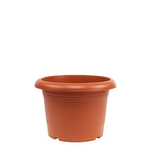 Floristik24 Cache-pot &quot;Oliver&quot; terre cuite Ø15cm