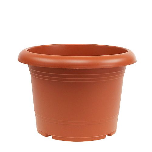 Floristik24 Cache-pot « Oliver » terre cuite Ø30cm