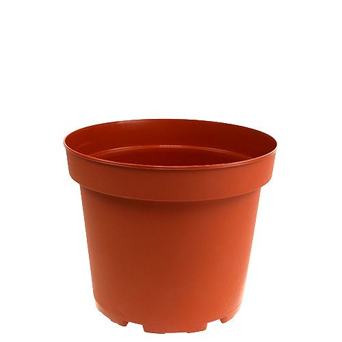 Floristik24 Pot de fleurs pot intérieur en plastique Ø10,5cm 10pcs