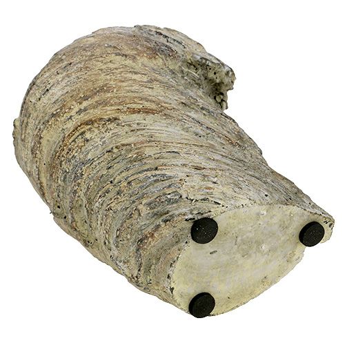 Floristik24 Cache-pot tronc d&#39;arbre Ø11.5cm H14cm 2pcs