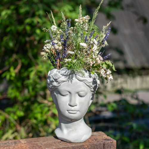 Floristik24 Cache-pot buste tête de plante lavée blanc béton Ø10cm H21cm
