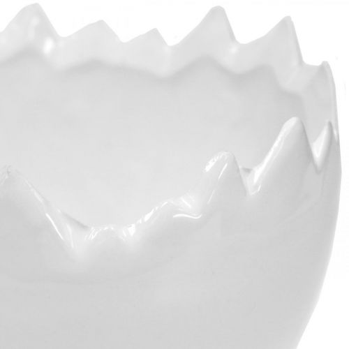 Floristik24 Cache-pot coquille d&#39;oeuf blanc Ø12cm H9cm 2pcs