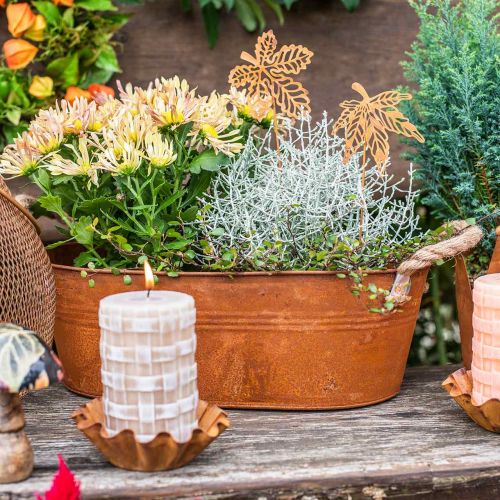 Floristik24 Cache-pot avec anses, coupe à herbes, décoration automne, patine L28cm H11cm