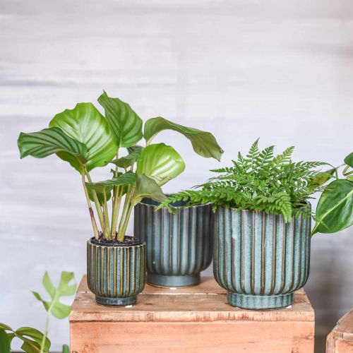 Floristik24 Cache-pot, vase en céramique, jardinière ondulée vert, marron Ø11,5cm H12,5cm