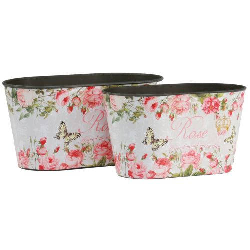 Floristik24 Roses en pot, récipient décoratif, plateau de fleurs 21,5 cm / 18,5 cm lot de 2