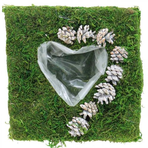Coussin végétal coeur mousse et cônes, blanc lavé 25×25cm