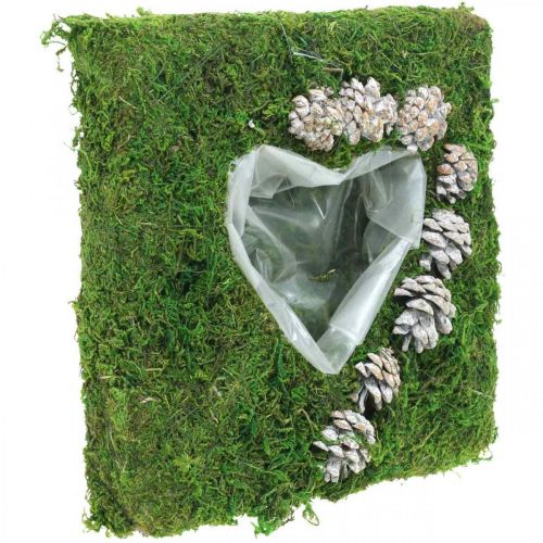 Floristik24 Coussin végétal coeur mousse et cônes, blanc lavé 25×25cm