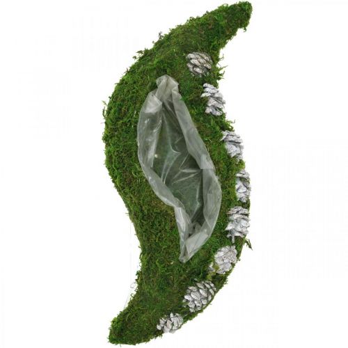 Floristik24 Jardinière mousse et cônes vert vague, blanc délavé 41×15cm
