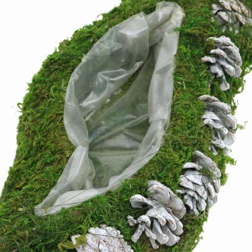 Floristik24 Jardinière mousse et cônes vert vague, blanc délavé 41×15cm