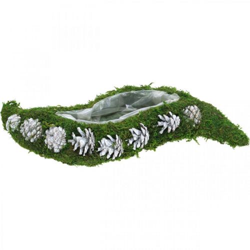 Floristik24 Jardinière mousse et cônes vert vague, blanc délavé 41×15cm