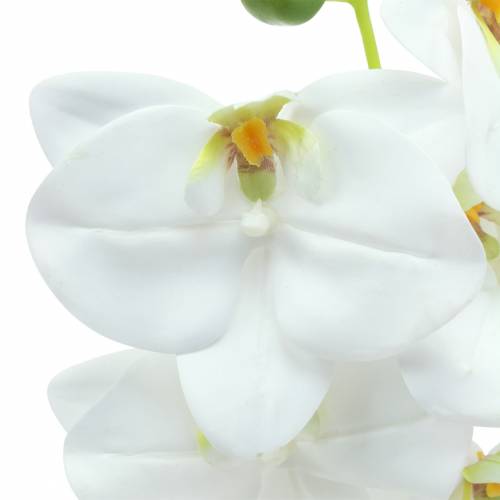 Branche d&#39;orchidée artificielle Phaelaenopsis blanc H49cm