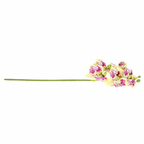 Article Branche d&#39;orchidée artificielle Phaelaenopsis vert rose H49cm