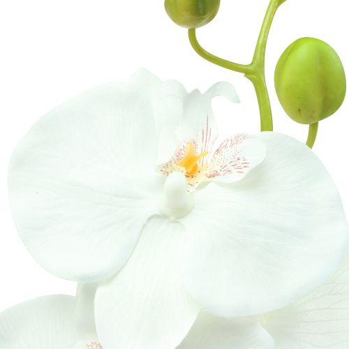 Article Orchidée Phalaenopsis blanche artificielle 80cm