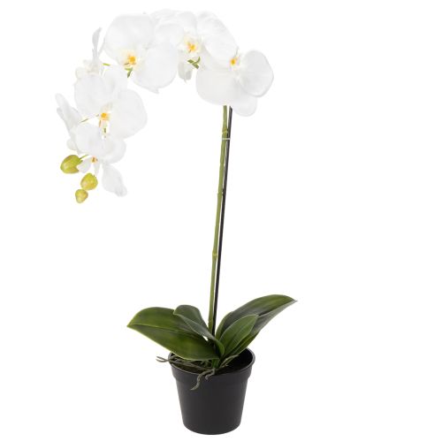 Orchidée artificielle, d'un réalisme saisissant, idéale pour la décoration de bureau et de salon, 62 cm