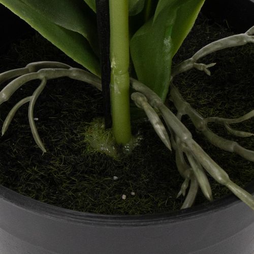 Article Orchidée artificielle, d'un réalisme saisissant, idéale pour la décoration de bureau et de salon, 62 cm