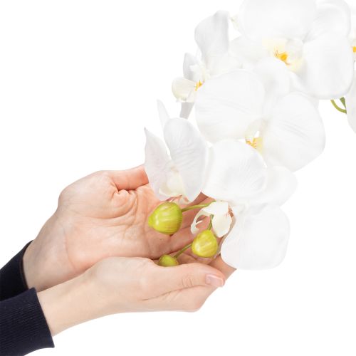 Article Orchidée artificielle, d'un réalisme saisissant, idéale pour la décoration de bureau et de salon, 62 cm