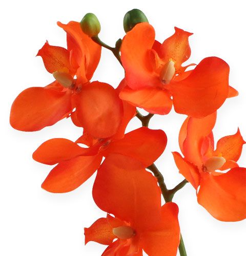 Article Orchidée factice avec feuilles, orange 35 cm