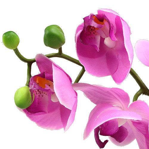 Article Orchidée Phalaenopsis Rose 77cm