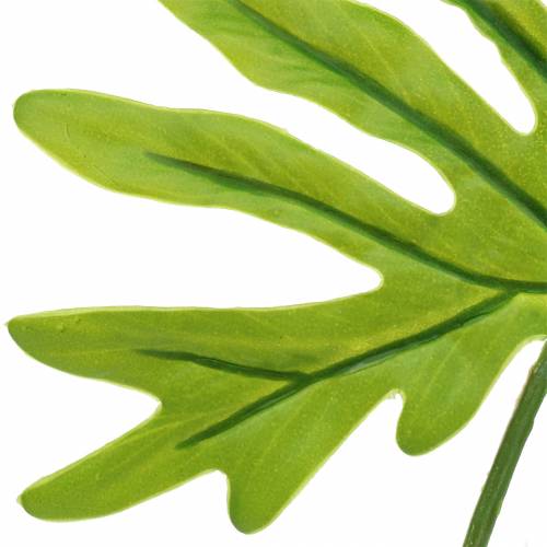 Article Philodendron Feuille Vert 40cm