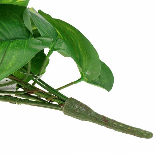 Floristik24 Retombée de philodendron 110 cm