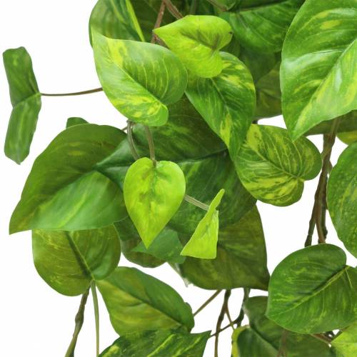 Article Cintre Philodendron 80cm